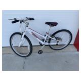 Schwinn Levi