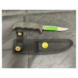 Buck 3-1/2" Fixed Blade Knife in Nylon Sheath