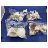 4 Bags - Assorted Seashells