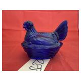 Cobalt Hen on Nest