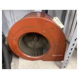 Squirrel Tail Fan