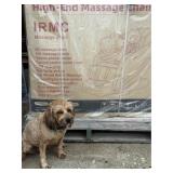 2026 IRMC Massage Chair  *Minor Assembly Needed