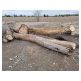 5 - Logs
