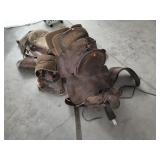 Good Saddle & Bisalia Saddle
