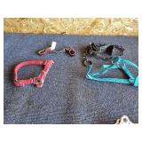 Goat Collars & Hobbles