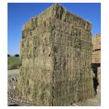 10 bales of 2nd Cutting Alfalfa  Hay