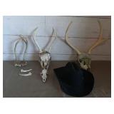 Cowboy Hat/ Skulls