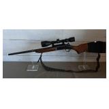 243 Rifle 243 Rifle
