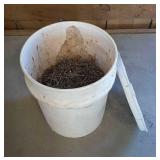 5 Gallon Bucket w/ Nails