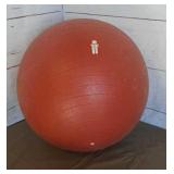 Exercise Ball Exercise Ball