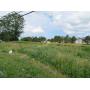 Vacant Land on Walden Ave. Lancaster-OnlineOnly