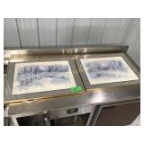 Two framed pictures Two framed pictures