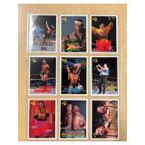 (9) 1990 TITAN WF WRESTLING CARDS