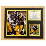 RASHARD MENDENHALL DISPLAY