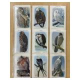 1995 CHURCH AND DWIGHT CO BIRDS OF PREY CARDS
