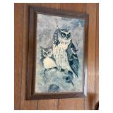 Owl Picture