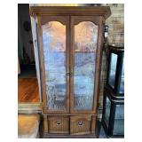 Lighted Gun Cabinet