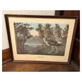 Framed Artwork - "Yellow Shank" by John James