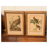 Framed Artwork - "Wild Turkey & Cardinals" by