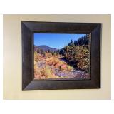 Framed Artwork