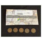 1895-1899 INDIAN HEAD CENT COLLECTION