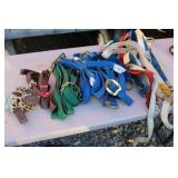 LARGE LOT OF NYLON COW AND HORSE HALTERS LARGE LOT OF NYLON COW AND HORSE HALTERS