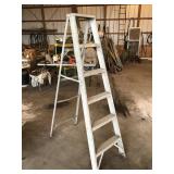 6 foot Werner  aluminum step ladder