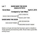 SADIE BARS THE DOOR AQHA Sorrel Mare