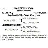 LIGHT FROST N BOON AQHA Sorrel Gelding