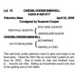 OKIESBLONDEBOMBSHELL AQHA Palomino Mare