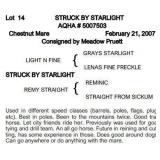STRUCK BY STARLIGHT AQHA Chestnut Mare