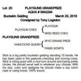 PLAYGUNS GRANDPRIZE AQHA Buckskin Gelding