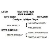 RIVER RUNS HIGH AQHA Sorrel Stallion