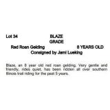 BLAZE GRADE Red Roan Gelding