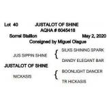 JUSTALOT OF SHINE AQHA Sorrel Stallion
