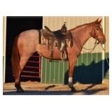 ROOSTERS SHINY STAR AQHA Red Roan Mare