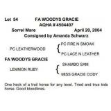 FA WOODYS GRACIE AQHA Sorrel Mare
