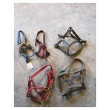 Horse halters