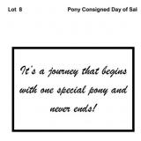 Pony Consigned Day of Sale