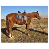 C DIEZEL PLAY AQHA Sorrel Gelding 2010