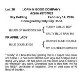 LOPIN N GOOD COMPANY AQHA Bay Gelding 2016
