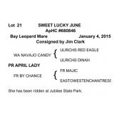 SWEET LUCKY JUNE ApHC Bay Leopard Mare 2015