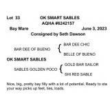 OK SMART SABLES AQHA Bay Mare 2023