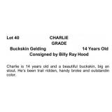 CHARLIE GRADE Buckskin Gelding 14 Years Old