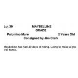 MAYBELLINE GRADE 2 Years Old