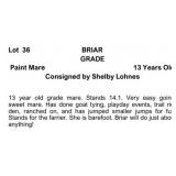 BRIAR GRADE Paint Mare 13 Years Old