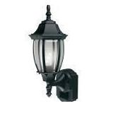 180D 100W BLACK MOTION WALL LANTERN