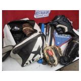 Misc Baseball Bats Gloves Catchers Gear And Bag