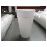 Styrofoam Cups, 250