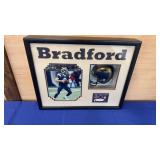 Framed Sam Bradford Rams Display COA  21x17x3
